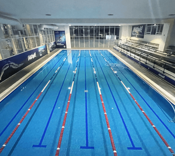 Clases de natación dentro del Colegio Internacional de México