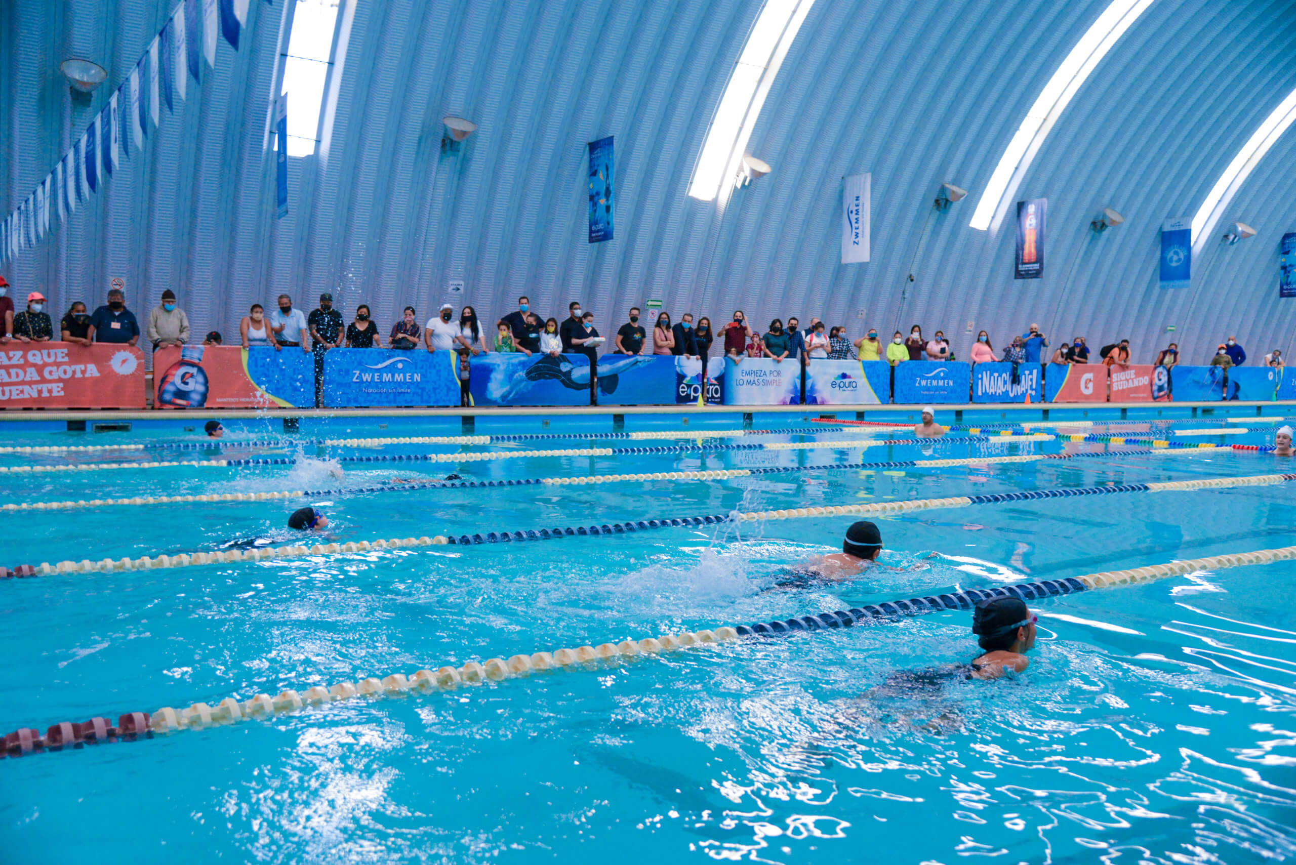 Academia de natación para toda la familia